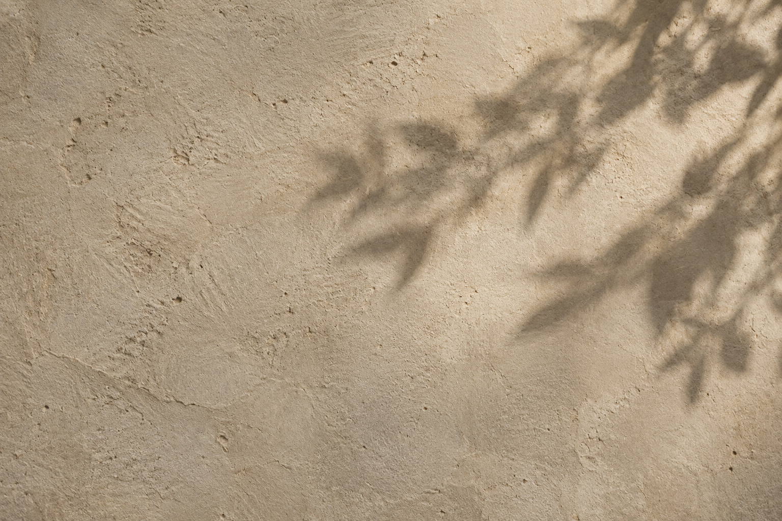Sunlit limestone wall with soft shadows, representing the Astara Method of spiritual guidance